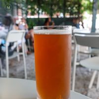  at Comune in Columbus