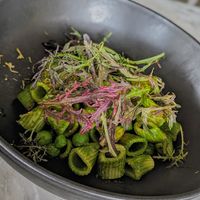  at Comune in Columbus