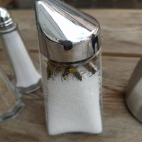 I found this sugar outside after I ate at Five Diner in Nuremberg