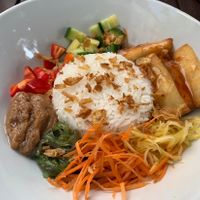 VV12 at Vegan Village in Hannover