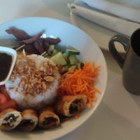 VV4 at Vegan Village in Hannover