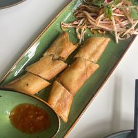  at Vegan Village in Hannover