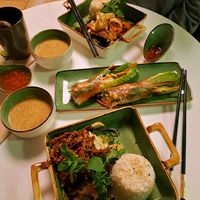 Sommerrolls and traditional main courses at Vegan Village in Hannover
