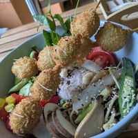  at Vegan Village in Hannover
