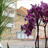 Blick vom Tisch am Fenster. at Vegan Village in Hannover