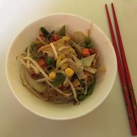 Example from buffet food: glass nodle with veggies and tofu at Vegan Village in Hannover