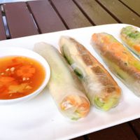 summer rolls at Vegan Village in Hannover