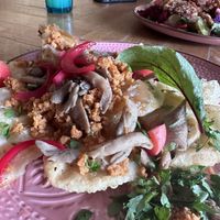   at House of Seitan in Gdansk