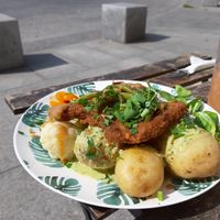 Vegan Schnitzel with salads, potatoes, green beens, cauliflower,  etc. Huge portion, amazing food, very nice and friendly staff. at House of Seitan in Gdansk