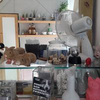 Counter at House of Seitan in Gdansk