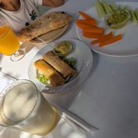 Vegan springrolls en vegan hummus met pitabrood en groente at Govindas in Tenerife