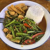 76. Pad Pak Bung Fai Daeng Tofu  at Zaap Thai Street Food in Newcastle Upon Tyne