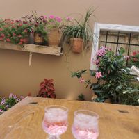 Rose flower raki at Peskesi in Crete