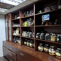 Large array of teas  at Camellias Tea in Guayaquil