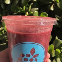 “Mora mora” at Mora Mora -  Insurgentes Sur in Mexico City