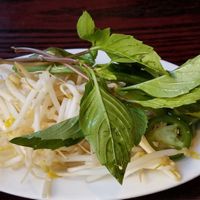 Fresh additions to the bowl, Thai basil, mung sprouts, jalapeno and lime at Pho Huong Viet in Longmont