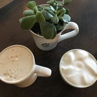 Both the latte and cappuccino with almond milk were amazing at Just Bob in Portland