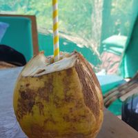 coconut water at Vegan Casa in Patnem