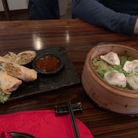 Spring rolls and dim sims  at Jialu in Luzern