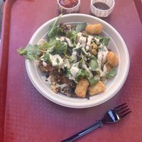   at Disneyland - Red Rose Taverne in Anaheim
