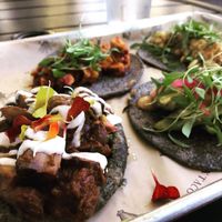 Back left tofu taco, back right elote taco, front left mole mushroom sope, front right avocado explosion at Nixtaco in Roseville