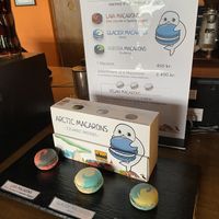   at The Soup Company in Vik