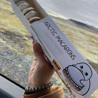 It’s my birthday gift  at The Soup Company in Vik