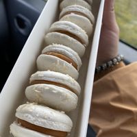   at The Soup Company in Vik