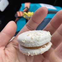 The best vegan macarons !  at The Soup Company in Vik