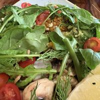   at Organic Kitchen in Casablanca