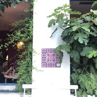   at Restaurante Amaltea in Cordoba