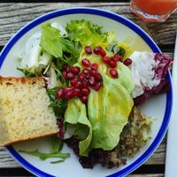 Salad at Grand Café Lochergut in Zurich