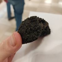 Black Velvet at Madame Cocos - Hoog Catherijne in Utrecht