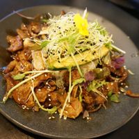 Korean Bulgogi at Plantastic's Streetfood Kitchen in Rotterdam