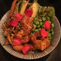 Rice bowl with edamame beans, sticky tofu etc. at Plantastic's Streetfood Kitchen in Rotterdam