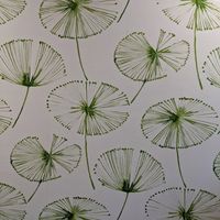Wallpaper at Root in Newport