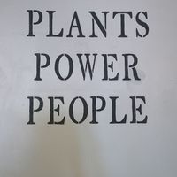 Truth   at Nateure's Plate in Peterborough