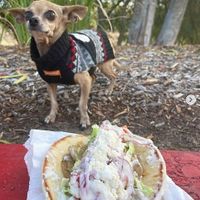 A phenomenal gyro! at Gentle Grill in Temecula