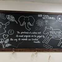 #BeCoolNotCruel👍💚🌱 at Gentle Grill in Temecula