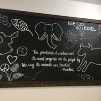 Cool art on the walls at Gentle Grill in Temecula