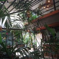  at Nourish in Hoi An