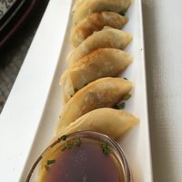 Gioza appetizers at Legumi Sushi Vegan in Lisbon