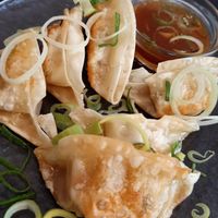 Gyosas at Legumi Sushi Vegan in Lisbon