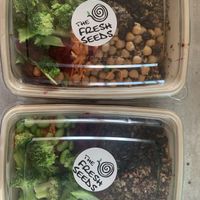   at The Fresh Seeds in Berlin