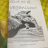   at Veggie Lunch in Santiago