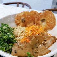 Wanton Kolo Mee, $5.80 at Thunder Tree 擂茶树 - VivoCity in Central Singapore