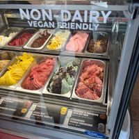   at Island Gelato Company in Auckland