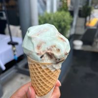   at Island Gelato Company in Auckland