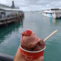  at Island Gelato Company in Auckland