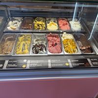   at Island Gelato Company in Auckland